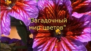 ������������ ������ �������� ����� ����������� ��� ������.
